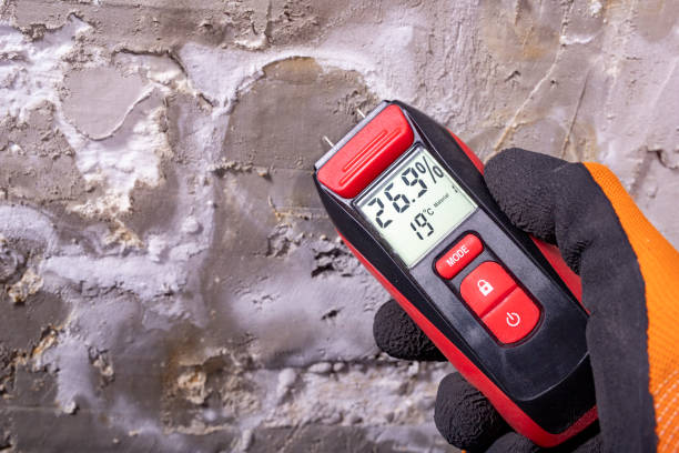 Best HVAC Mold Remediation in Ninety Six, SC