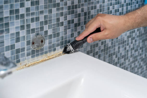 Best Mold Remediation for Specific Building Types in Ninety Six, SC
